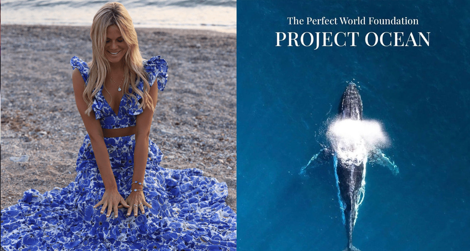 Caroline Svedboms collaboration with The Perfect World Foundation
